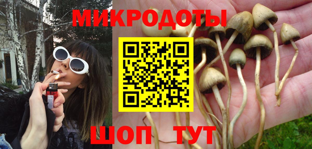 Псилоцибиновые грибы GOLDEN TEACHER Павлово