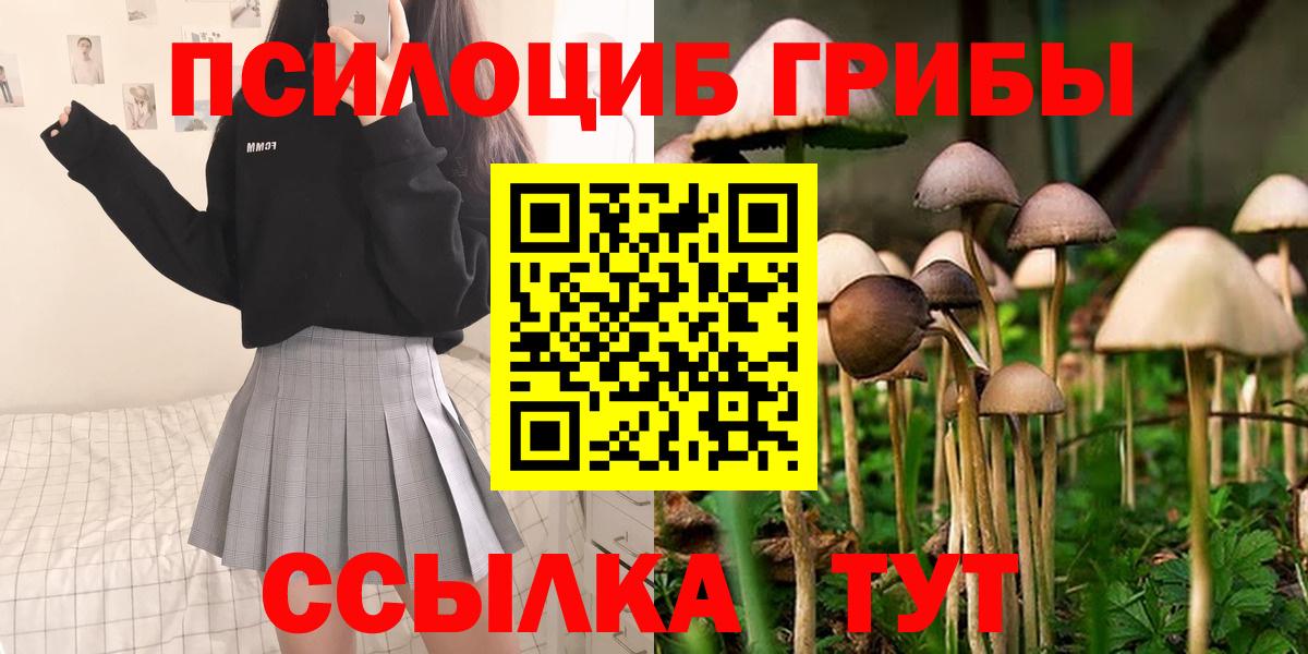 Галлюциногенные грибы GOLDEN TEACHER  Вход с VPN  Галлюциногенные грибы Cubensis  Павлово 
